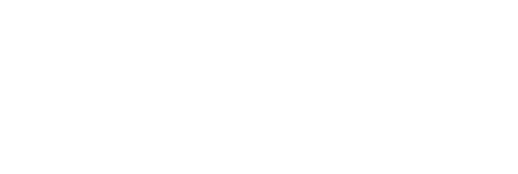 SynthVsn Logo